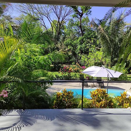 House In The Palm Forest Карильо Екстериор снимка
