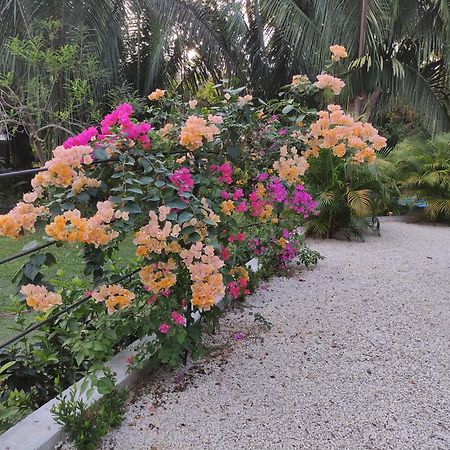 House In The Palm Forest Карильо Екстериор снимка