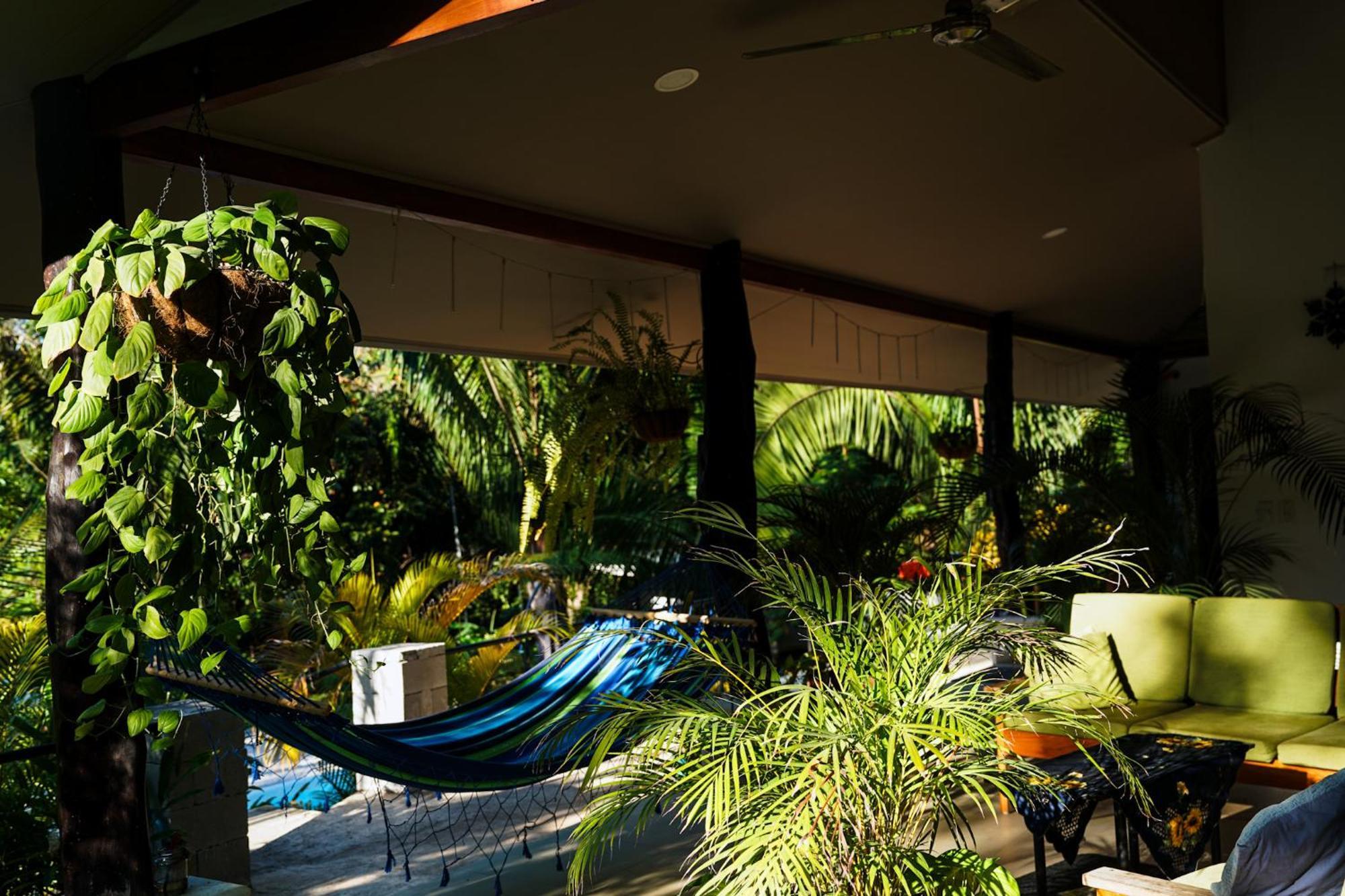 House In The Palm Forest Карильо Екстериор снимка