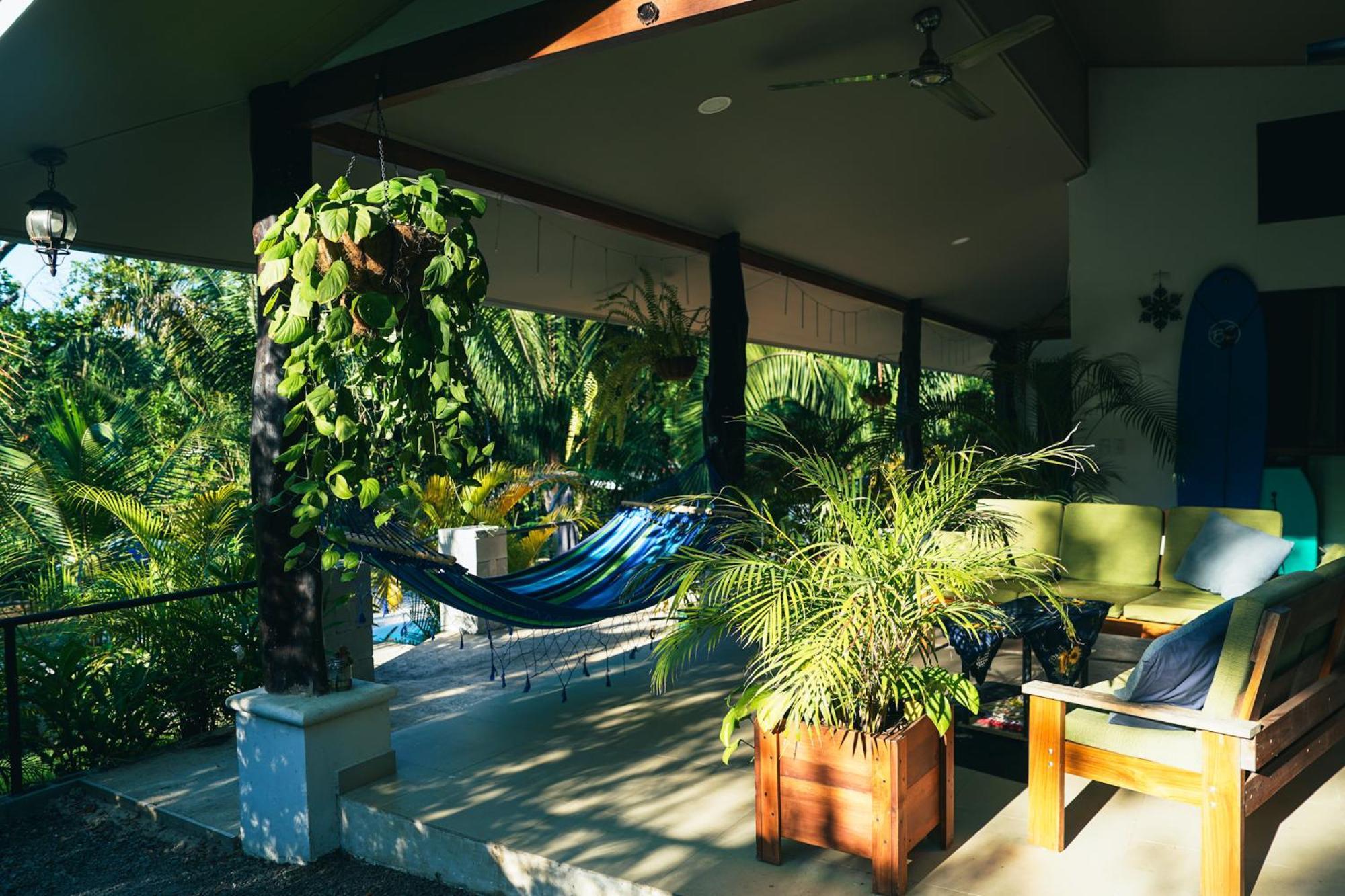 House In The Palm Forest Карильо Екстериор снимка