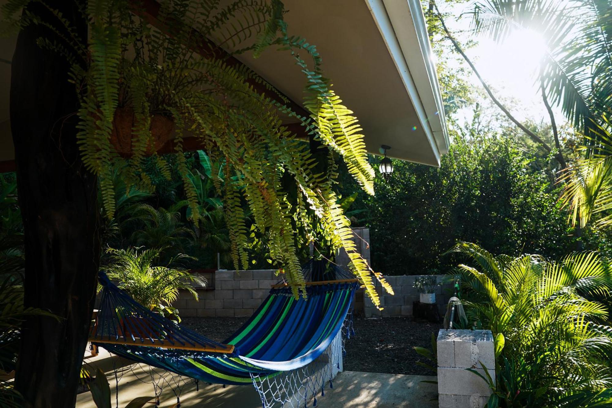 House In The Palm Forest Карильо Екстериор снимка