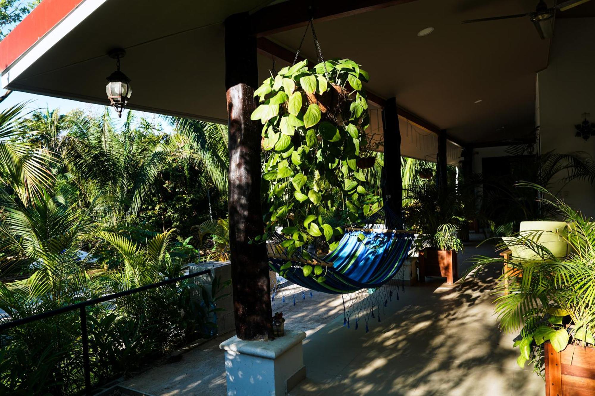 House In The Palm Forest Карильо Екстериор снимка