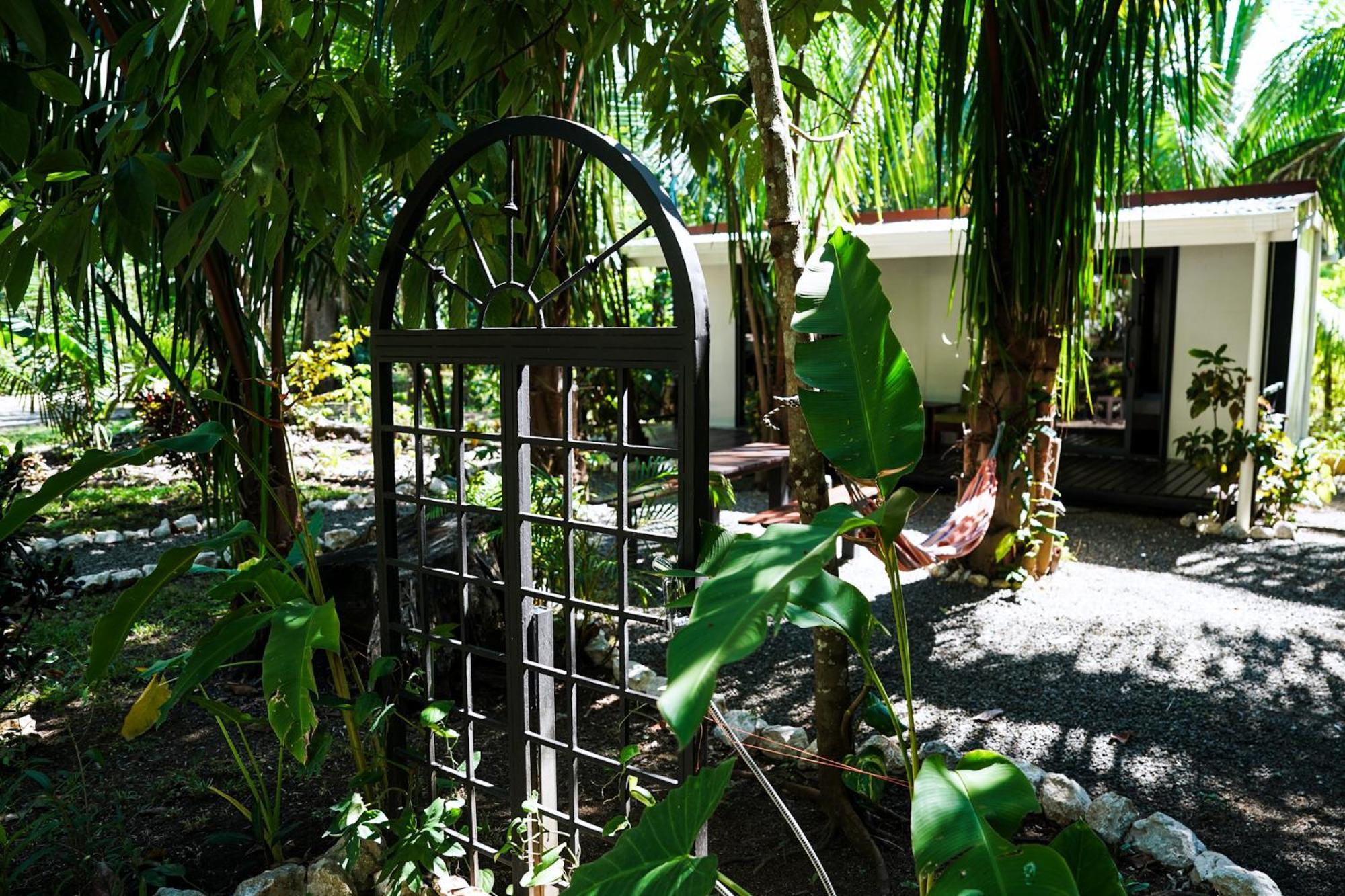House In The Palm Forest Карильо Екстериор снимка