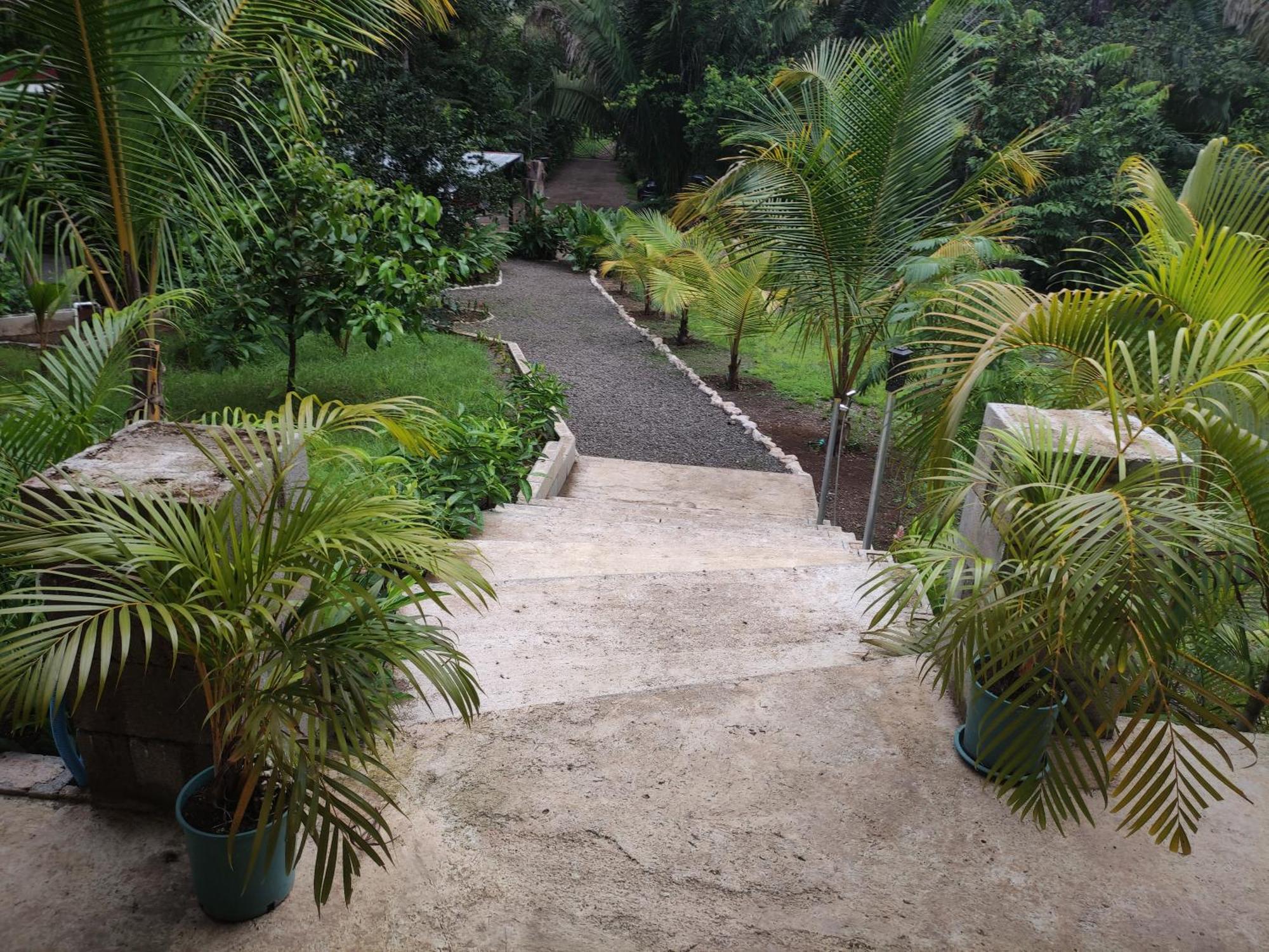 House In The Palm Forest Карильо Екстериор снимка
