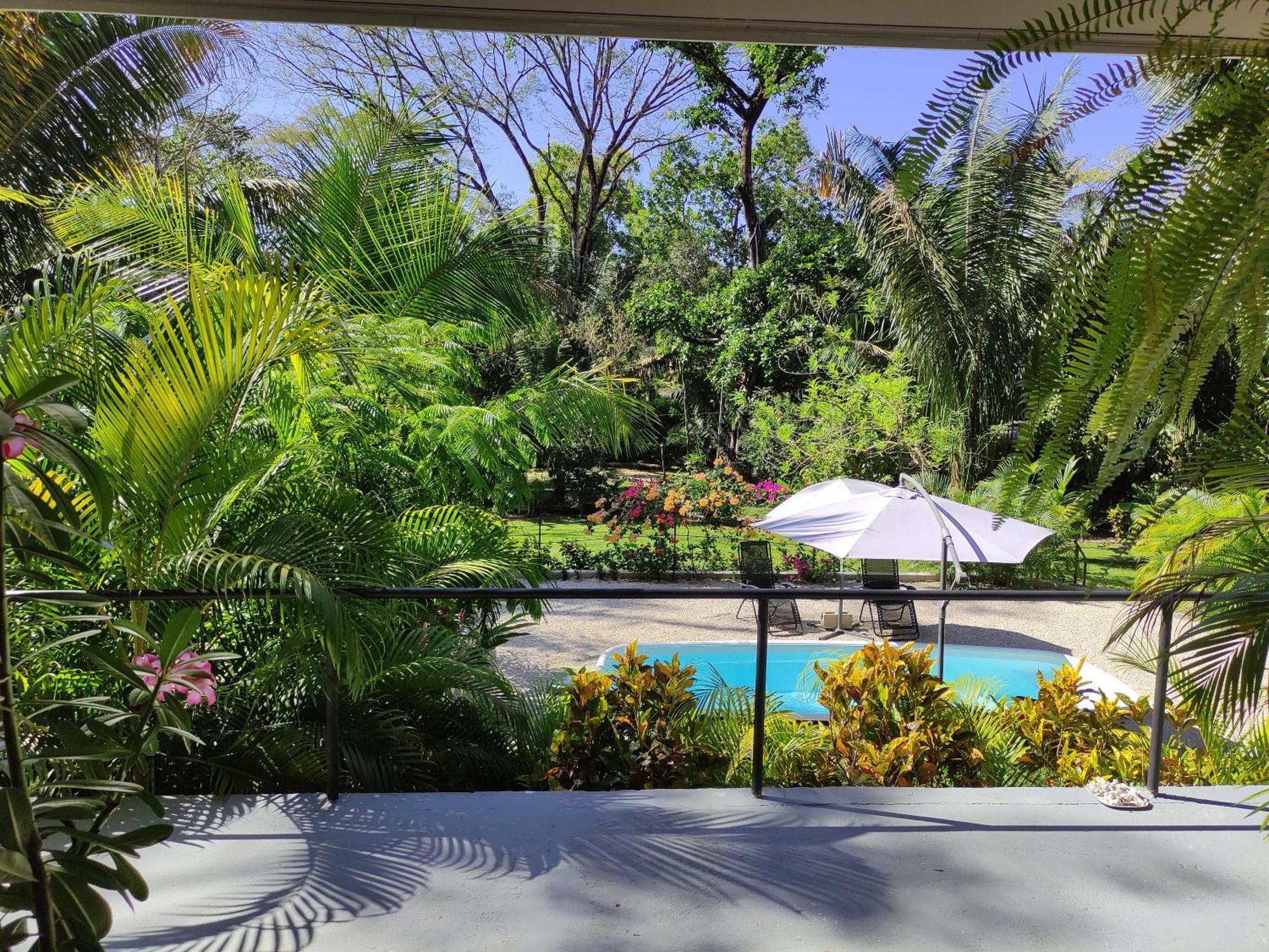 House In The Palm Forest Карильо Екстериор снимка