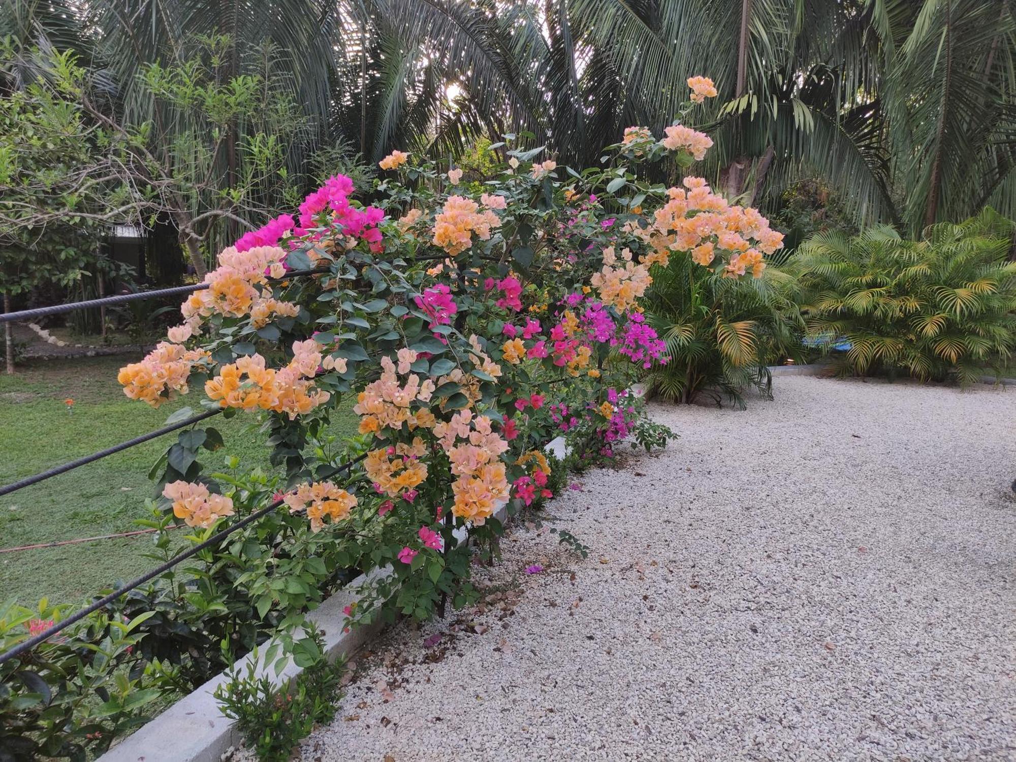 House In The Palm Forest Карильо Екстериор снимка